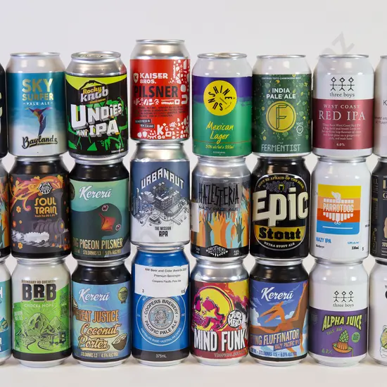 24 330ml Assorted Beer Cans
