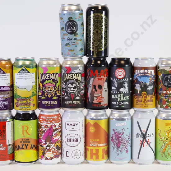 24 500ml Assorted Beer Cans