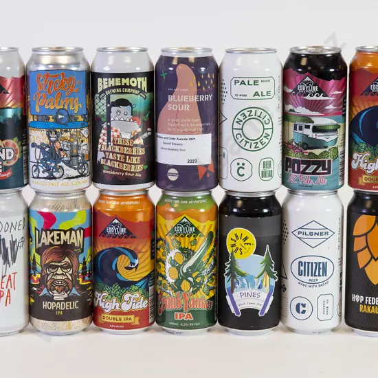 24 500ml Assorted Beer Cans