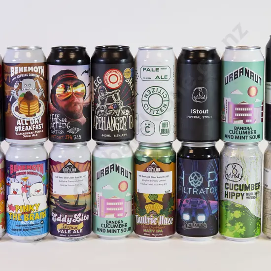 24 500ml Assorted Beer Cans