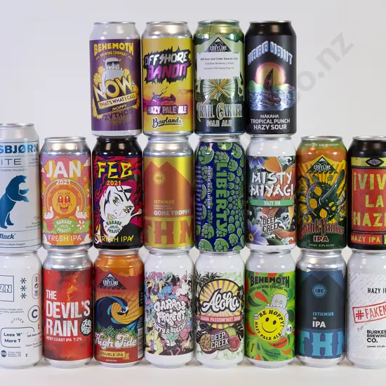 24 500ml Assorted Beer Cans