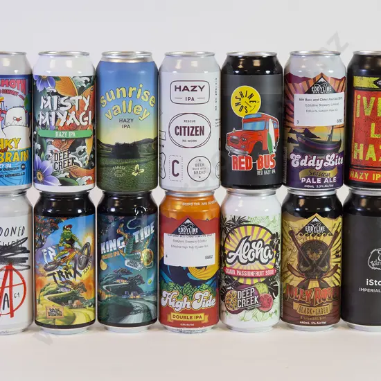 24 500ml Assorted Beer Cans