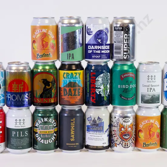 24 330ml Assorted Beer Cans