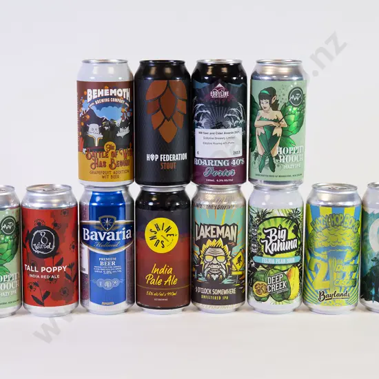 20 500ml Assorted Beer Cans
