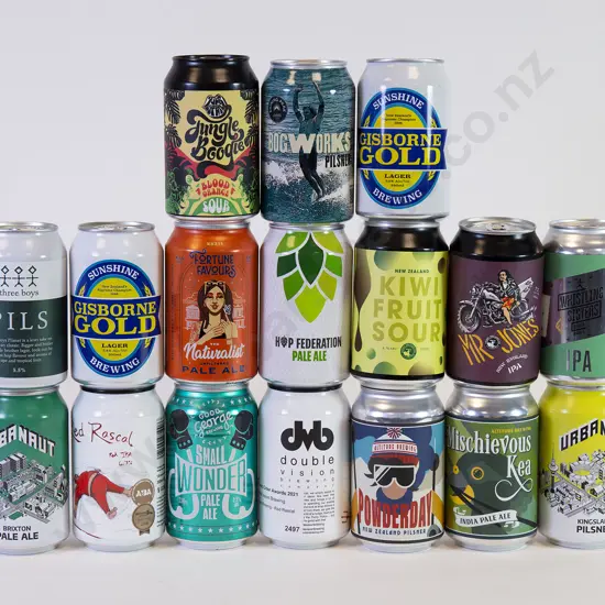 24 330ml Assorted Beer Cans
