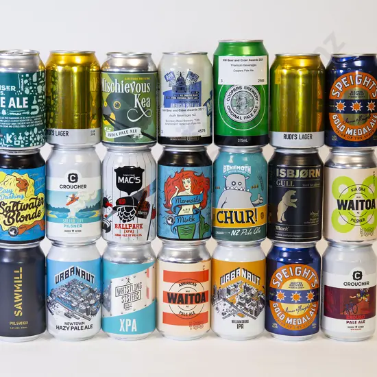 21 330ml Assorted Beer Cans