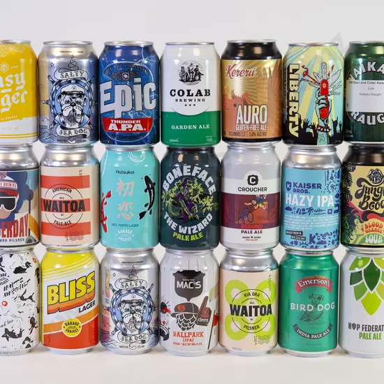 24 330ml Assorted Beer Cans
