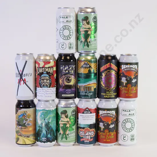 24 500 ml Assorted Beer Cans