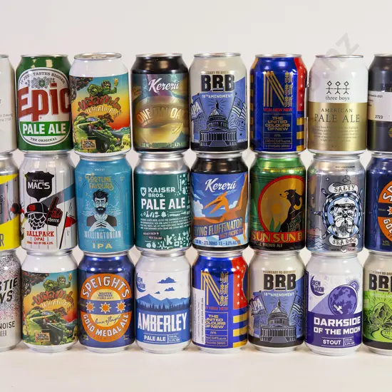 24 330 ml Assorted Beer Cans