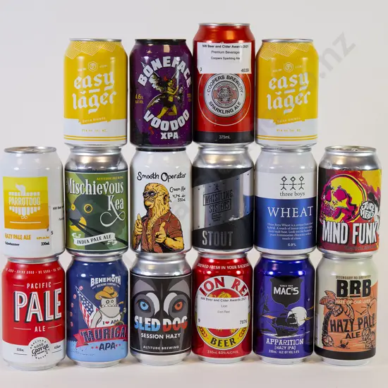24 330 ml Assorted Beer Cans