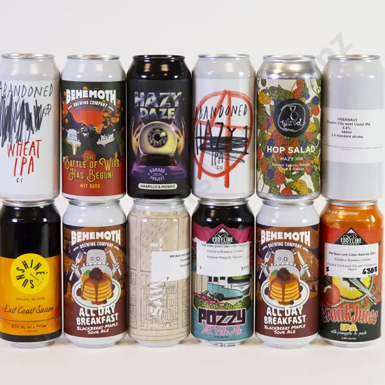 20 500 ml Assorted Beer Cans