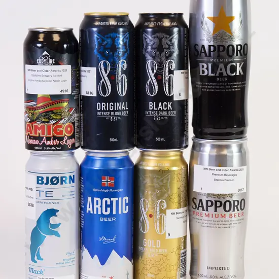 20 500 ml Assorted Beer Cans
