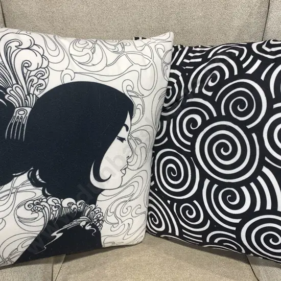 Two Designer Cushions