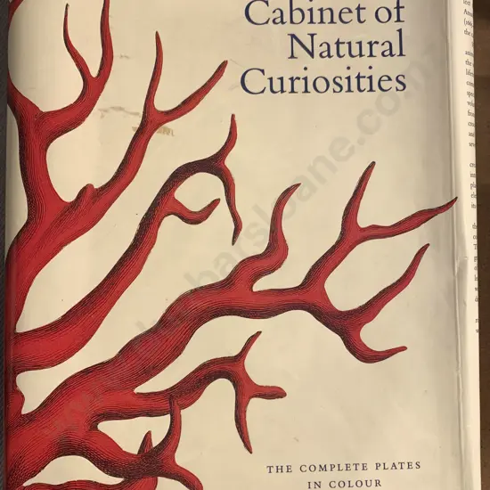 Taschen 'Cabinet of Natural Curiosities'