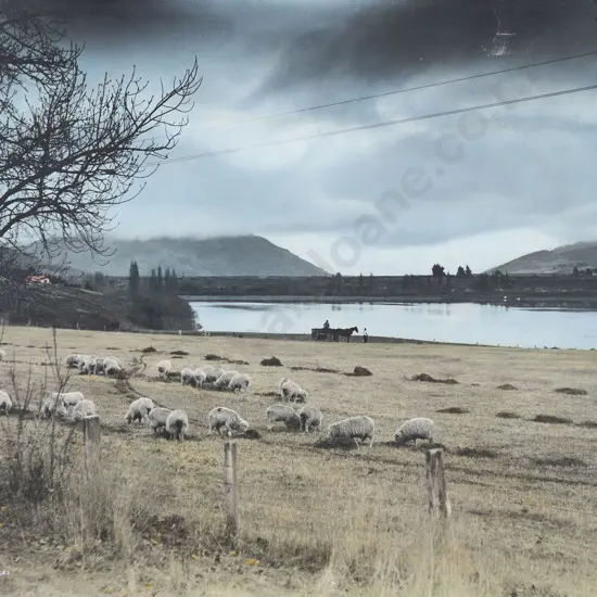 Whites Aviation Hand Coloured Photo of Lake Hayes