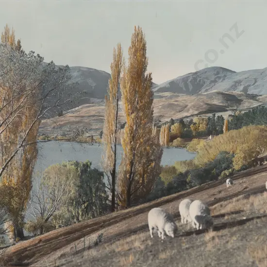 Whites Aviation Hand Coloured Photo of Lake Hayes