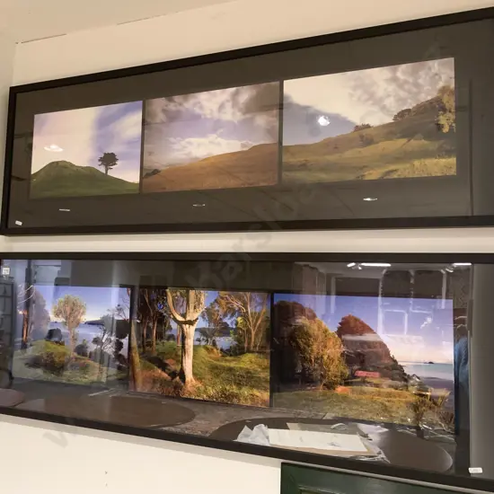 Pair of NZ Landscape Photographs