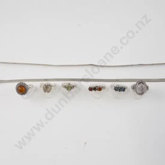 S/S Flat Neck Chain and six rings