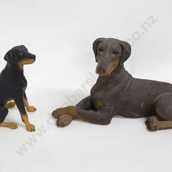 Two Doberman Dogs
