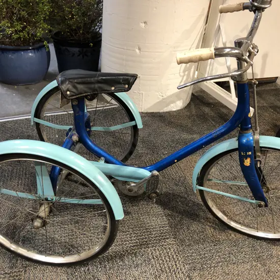 Childs Triang Tricycle