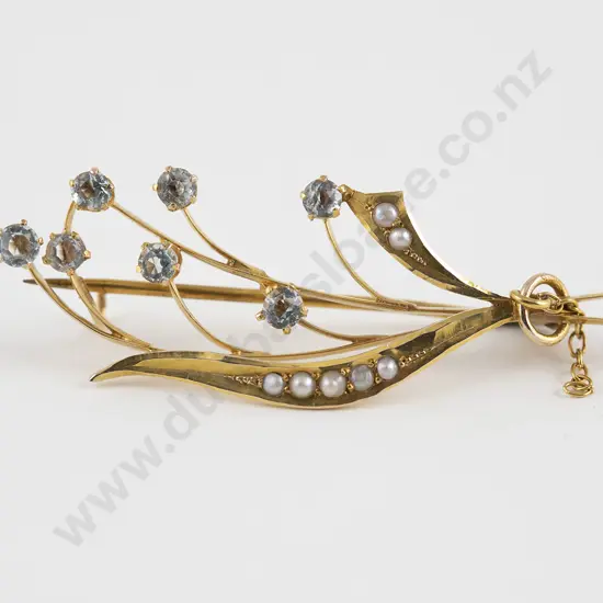 Possible Australian Colonial 15ct Spray Brooch