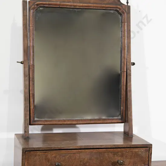 Geo III Walnut Swing Toilet Mirror