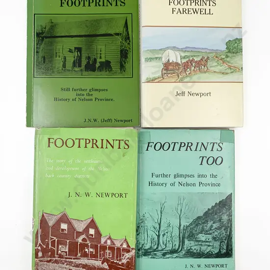 4 Nelson Footprint Volumes