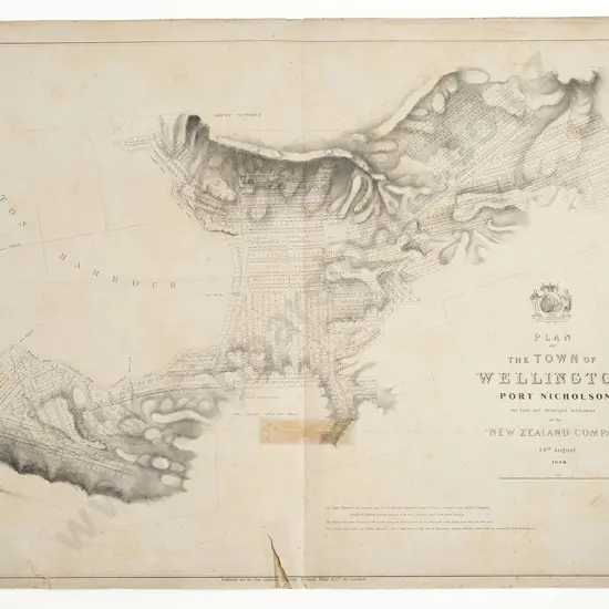 Plan Of The Town Of Wellington Port Nicholson 1840