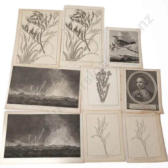 Nine Various French 18th Century NZ Related Engravings From Cooks Voyages