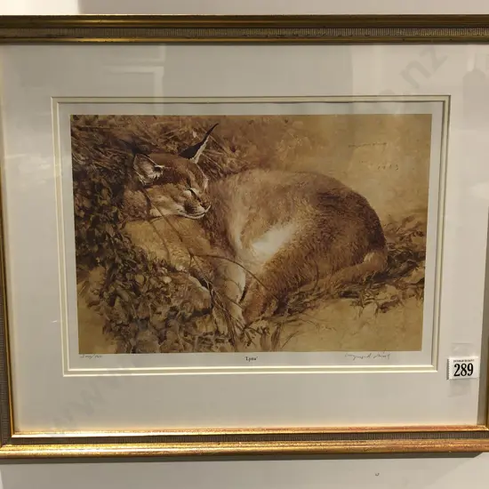 Raymond Ching - "Lynx" Ltd Ed Print 202/350