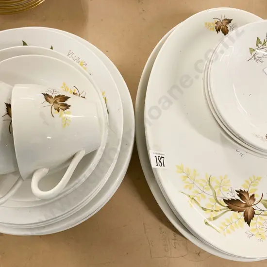 Crown Lynn "Autumn Splendour" Part Dinner Set (35 Pieces)