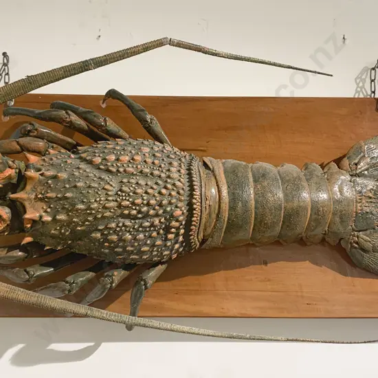 Mounted Taxidermy Lobster