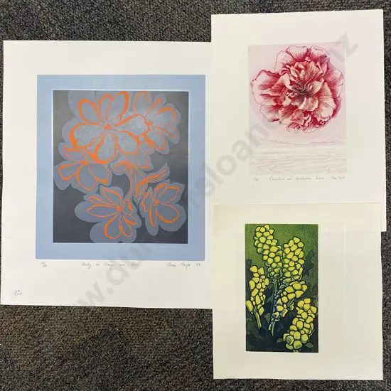 Joan Taylor - Three Unframed prints