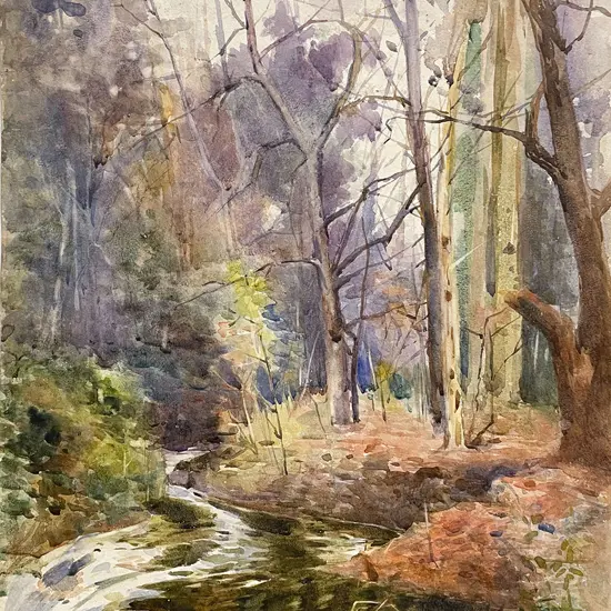 Mabel Hill - Bush Stream