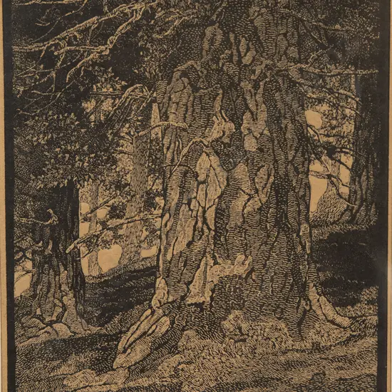 E Warner - Tree Trunk