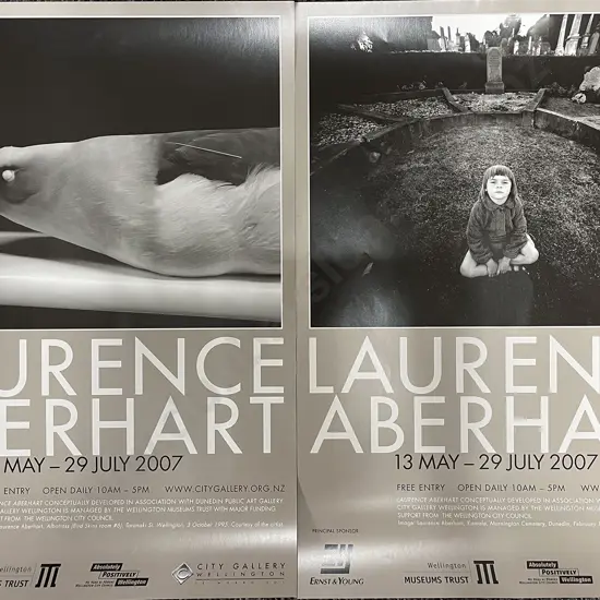 City Gallery Laurence Aberhart Exhibition Posters (2)