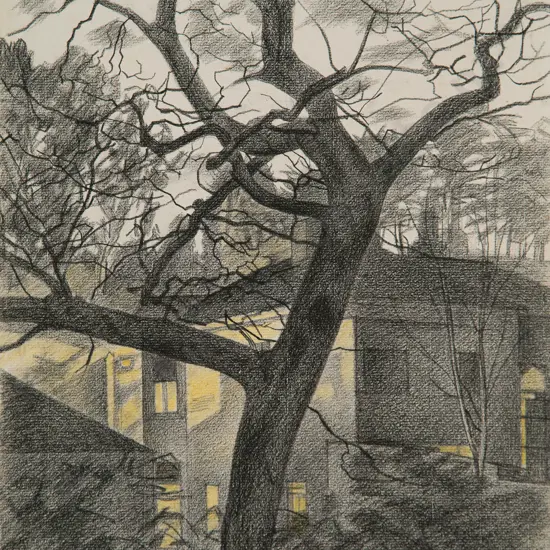 Rita Angus (1908 - 1970) - Evening View from Angus House (C1961-62)