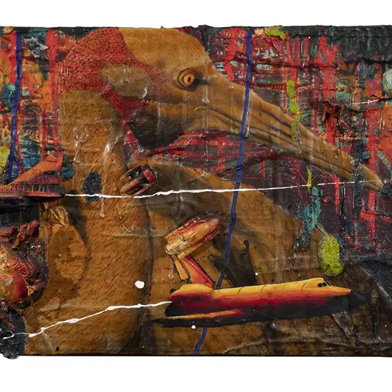 Geoff Dixon (b 1954) - Native Companion