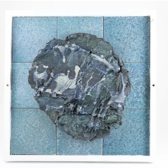 Doreen Blumhardt Framed Tree Trunk Impression Wall Plaque