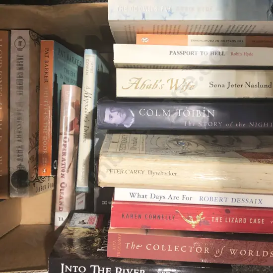 Box of Assorted Fiction Books