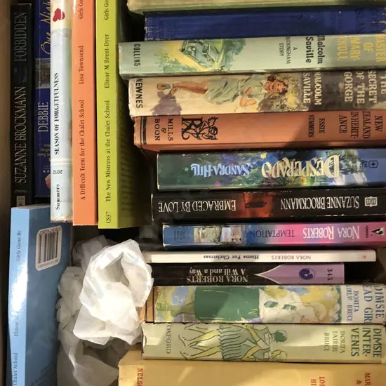 Box of Assorted Fiction Books