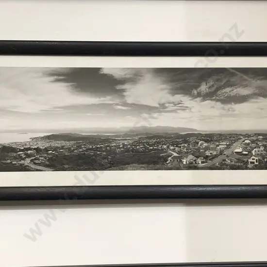 Clayton Tume - View from Brooklyn