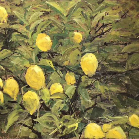 Les Finch - Lemon Tree