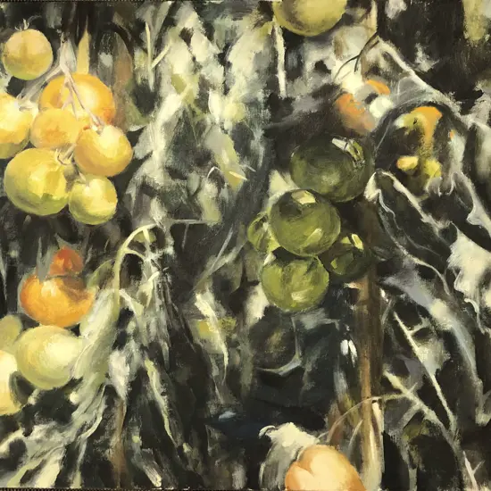 Les Finch - Tomatoes