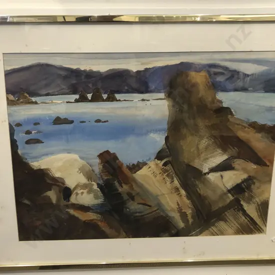 Avis Higgs - Barrett's Reef