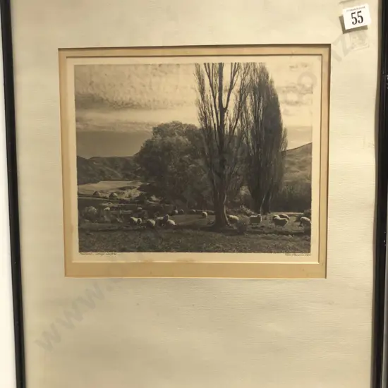 George Chance - Pastoral Otago Central