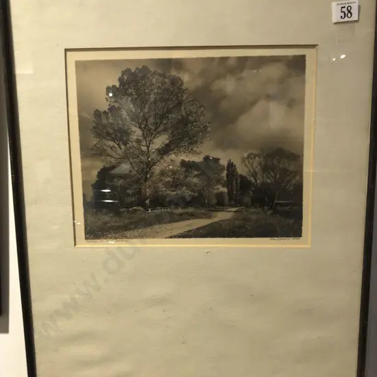 George Chance - Autumn South Canterbury