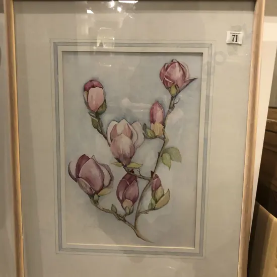 J. Kelly - Magnolia Cutting