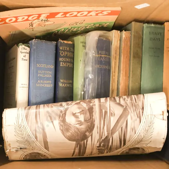 Box of Assorted Books