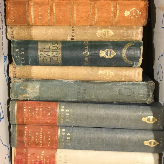 Box of Assorted Vintage Books Including Four Posthumous Works of Anne Radcliffe Volumes